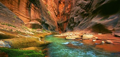 Canyon Zion