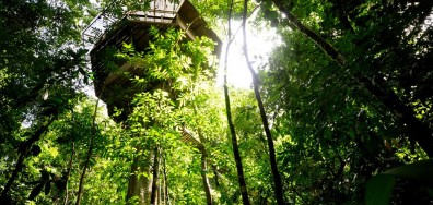 O Finca Bellavista Treehouse Community, na Costa Rica, proporciona explorar a selva profunda em uma comunidade instalada nas árvores