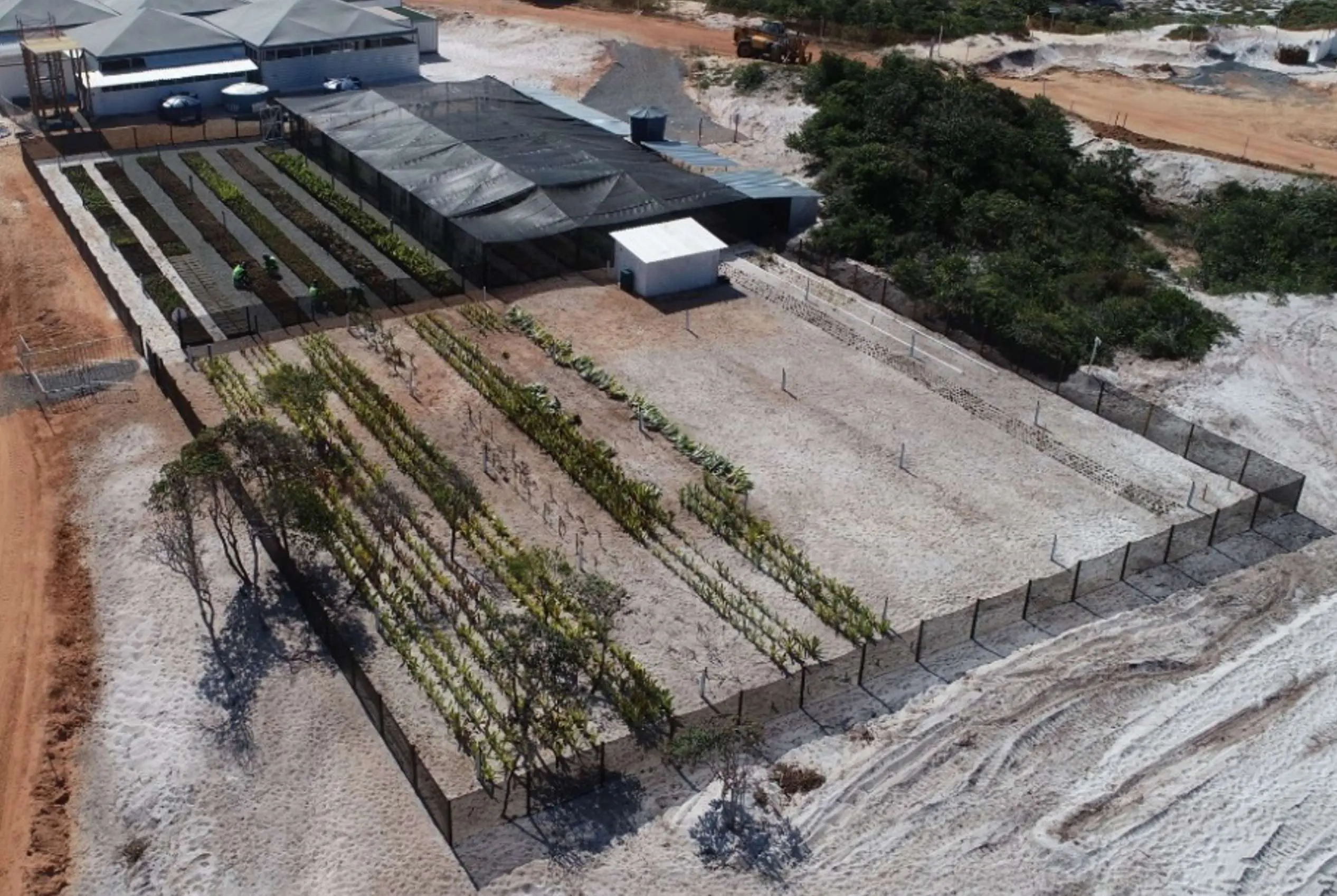 Viveiro de mudas | Paisagismo Sustentável | Acondicionamento de espécies transplantadas