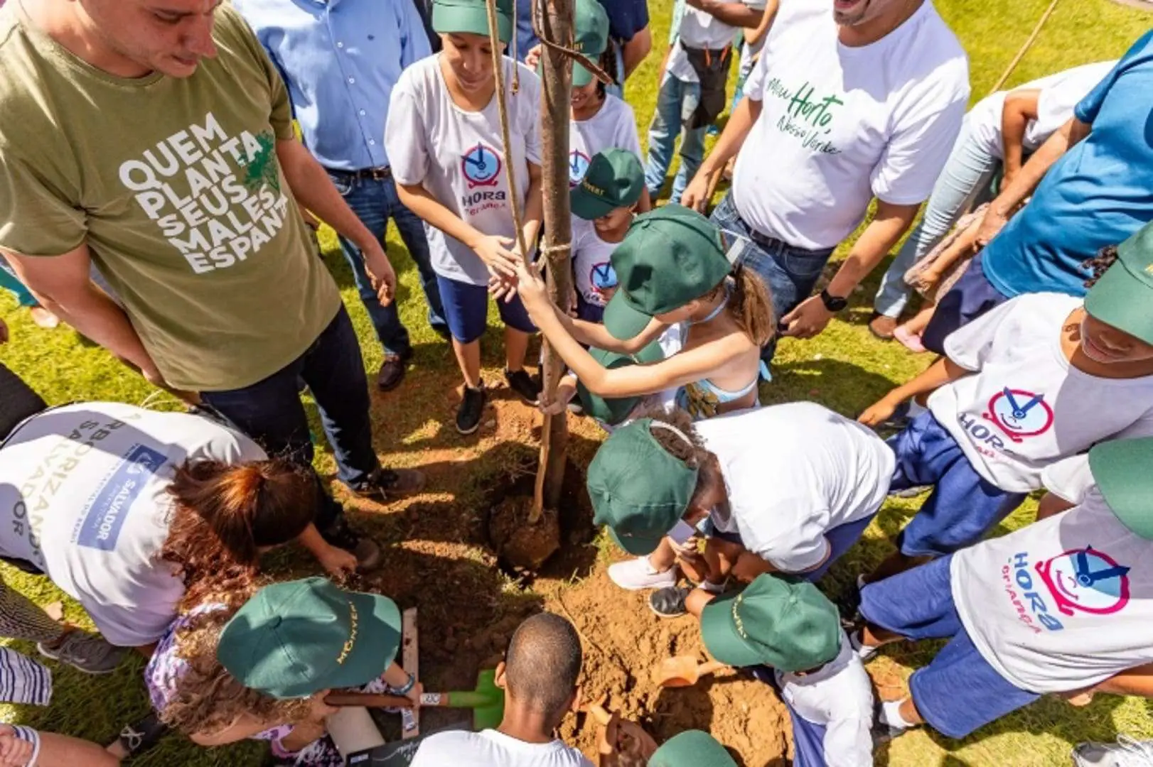 Ação de Plantio | Compensação Ambiental