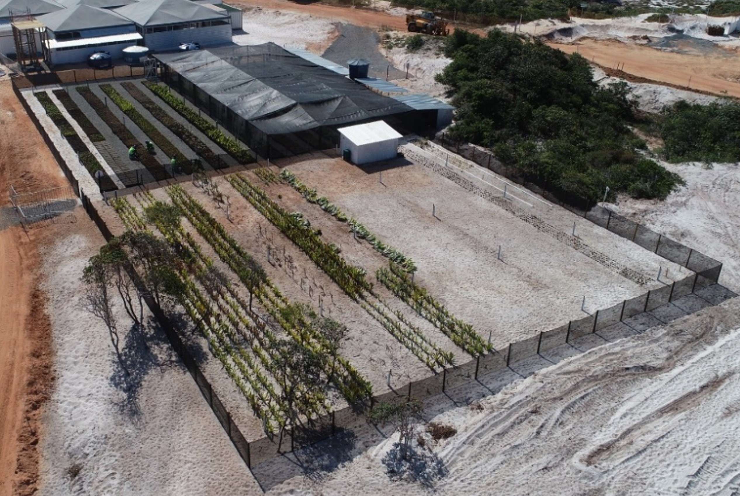 Viveiro de mudas | Paisagismo Sustentável | Acondicionamento de espécies transplantadas