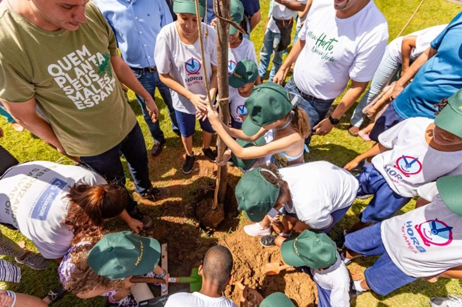 Ação de Plantio | Compensação Ambiental
