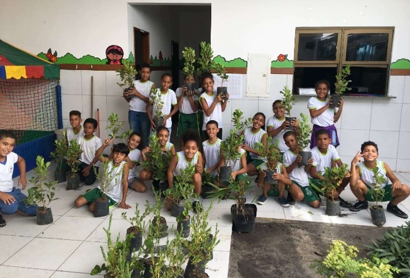 Banco de sementes | Doação de Mudas