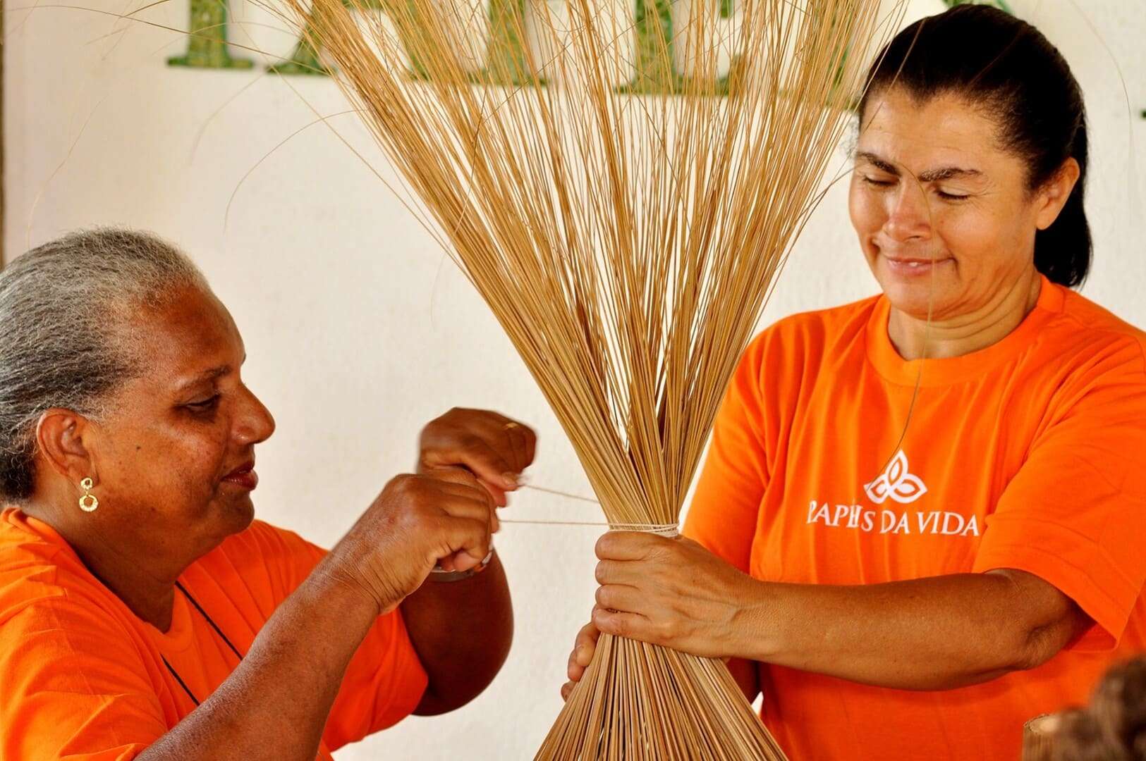 Programa Papéis da Vida