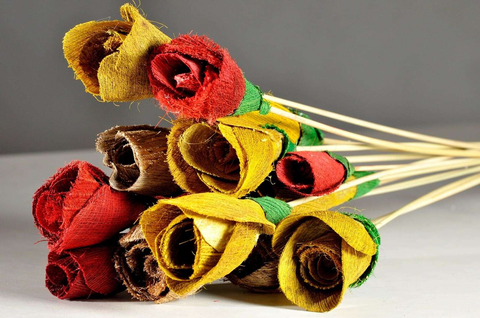 Programa Papéis da Vida