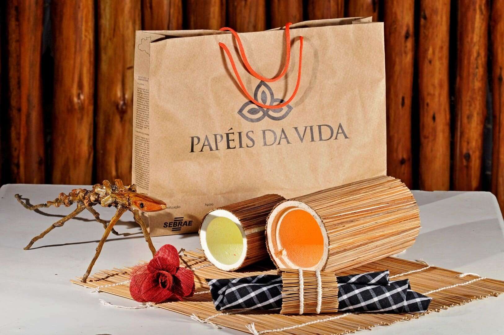 Programa Papéis da Vida